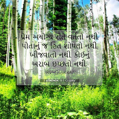 Picture 07 - 1 કરિંથીઓને 13:5 GUJIRV - પ્રેમ અયોગ્ય રીતે - Bible Verse Picture