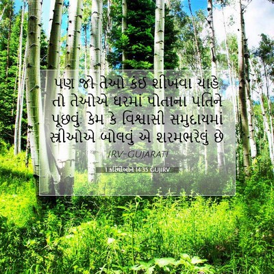 Picture 07 - 1 કરિંથીઓને 14:35 GUJIRV - પણ જો તેઓ કંઈ શીખવા - Bible Verse Picture