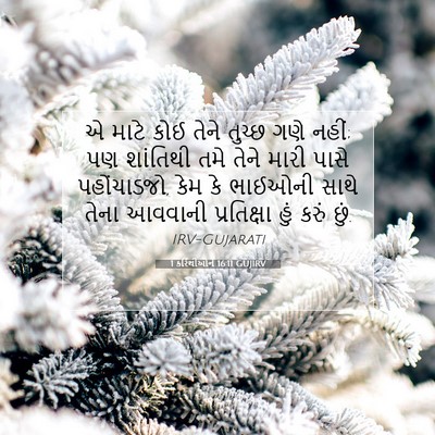 Picture 07 - 1 કરિંથીઓને 16:11 GUJIRV - એ માટે કોઈ તેને - Bible Verse Picture