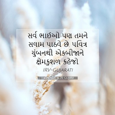 Picture 07 - 1 કરિંથીઓને 16:20 GUJIRV - સર્વ ભાઈઓ પણ તમને - Bible Verse Picture
