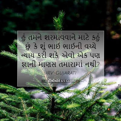 Picture 07 - 1 કરિંથીઓને 6:5 GUJIRV - હું તમને - Bible Verse Picture