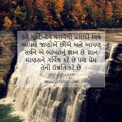 Picture 07 - 1 કરિંથીઓને 8:1 GUJIRV - હવે મૂર્તિઓને - Bible Verse Picture