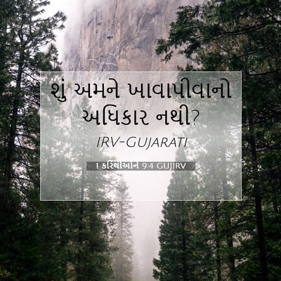 Picture 07 - 1 કરિંથીઓને 9:4 GUJIRV - શું અમને - Bible Verse Picture