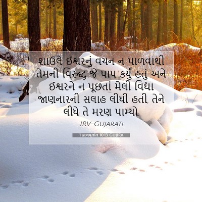 Picture 07 - 1 કાળવૃતાંત 10:13 GUJIRV - શાઉલે ઈશ્વરનું - Bible Verse Picture