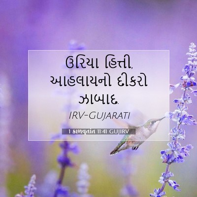 Picture 07 - 1 કાળવૃતાંત 11:41 GUJIRV - ઉરિયા હિત્તી, - Bible Verse Picture