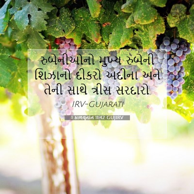 Picture 07 - 1 કાળવૃતાંત 11:42 GUJIRV - રુબેનીઓનો મુખ્ય - Bible Verse Picture