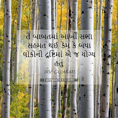 Picture 07 - 1 કાળવૃતાંત 13:4 GUJIRV - તે બાબતમાં આખી સભા - Bible Verse Picture