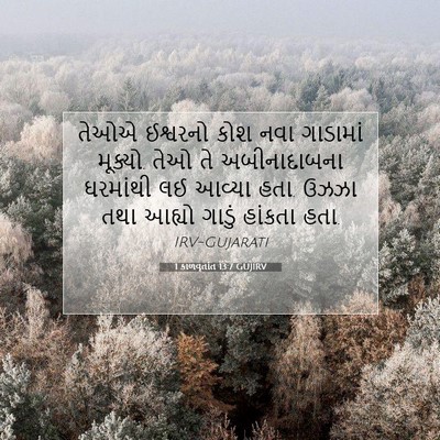 Picture 07 - 1 કાળવૃતાંત 13:7 GUJIRV - તેઓએ ઈશ્વરનો કોશ - Bible Verse Picture
