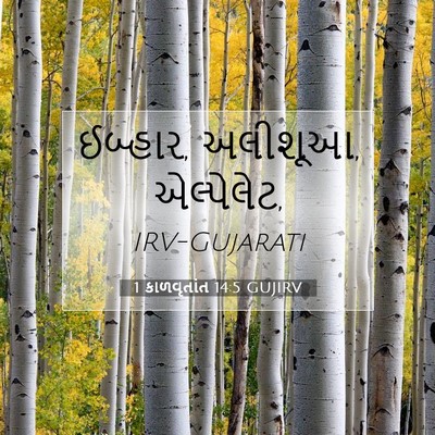 Picture 07 - 1 કાળવૃતાંત 14:5 GUJIRV - ઈબ્હાર, અલીશૂઆ, - Bible Verse Picture