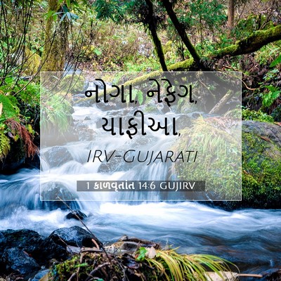 Picture 07 - 1 કાળવૃતાંત 14:6 GUJIRV - નોગા, નેફેગ, - Bible Verse Picture