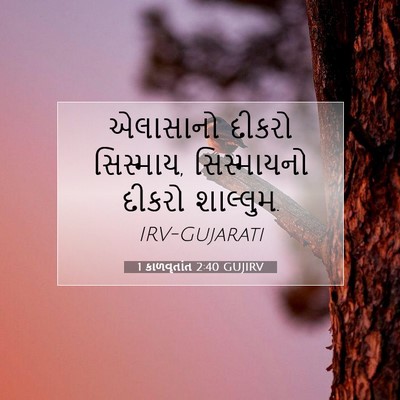 Picture 07 - 1 કાળવૃતાંત 2:40 GUJIRV - એલાસાનો દીકરો - Bible Verse Picture