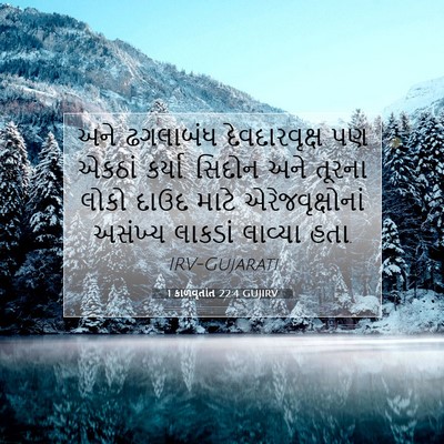 Picture 07 - 1 કાળવૃતાંત 22:4 GUJIRV - અને ઢગલાબંધ - Bible Verse Picture
