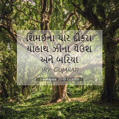 Picture 07 - 1 કાળવૃતાંત 23:10 GUJIRV - શિમઈના ચાર દીકરા: - Bible Verse Picture