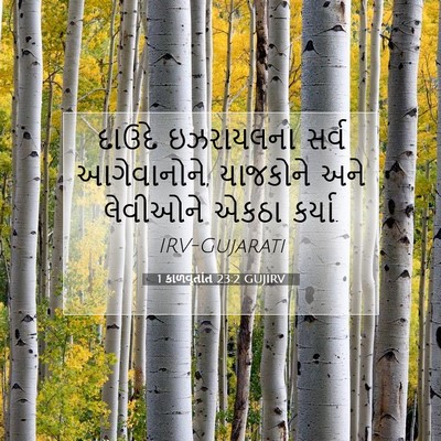 Picture 07 - 1 કાળવૃતાંત 23:2 GUJIRV - દાઉદે ઇઝરાયલના - Bible Verse Picture