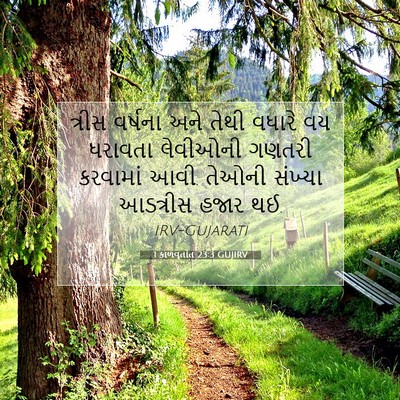 Picture 07 - 1 કાળવૃતાંત 23:3 GUJIRV - ત્રીસ વર્ષના અને - Bible Verse Picture