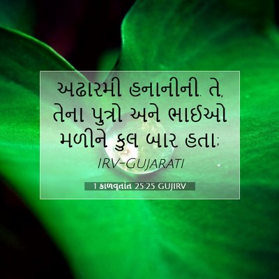 Picture 07 - 1 કાળવૃતાંત 25:25 GUJIRV - અઢારમી હનાનીની. તે, - Bible Verse Picture