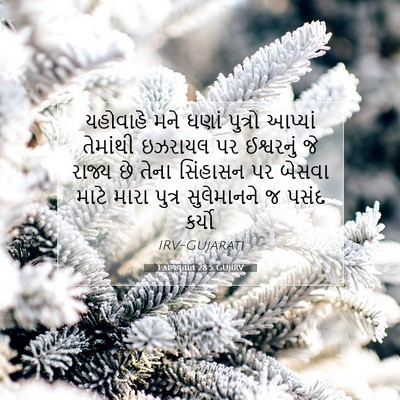 Picture 07 - 1 કાળવૃતાંત 28:5 GUJIRV - યહોવાહે મને ઘણાં - Bible Verse Picture