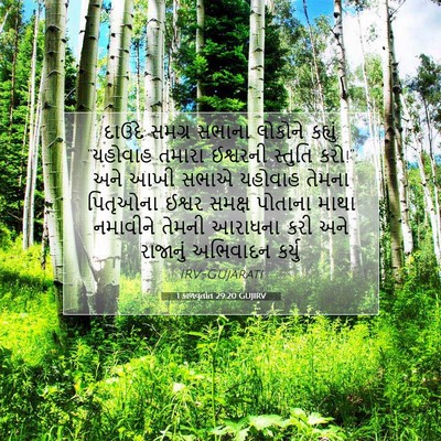 Picture 07 - 1 કાળવૃતાંત 29:20 GUJIRV - દાઉદે સમગ્ર સભાના - Bible Verse Picture