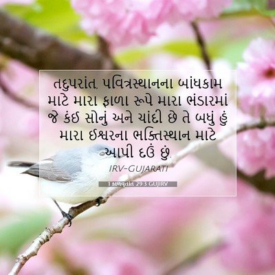 Picture 07 - 1 કાળવૃતાંત 29:3 GUJIRV - તદુપરાંત, - Bible Verse Picture