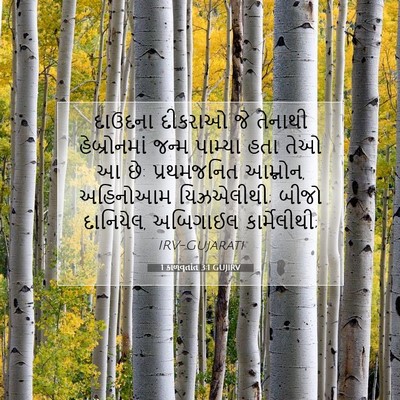 Picture 07 - 1 કાળવૃતાંત 3:1 GUJIRV - દાઉદના દીકરાઓ જે - Bible Verse Picture