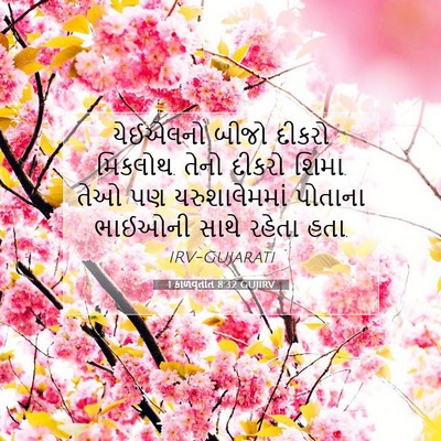 Picture 07 - 1 કાળવૃતાંત 8:32 GUJIRV - યેઈએલનો બીજો - Bible Verse Picture