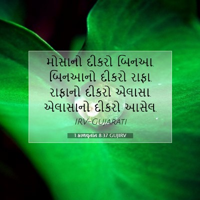 Picture 07 - 1 કાળવૃતાંત 8:37 GUJIRV - મોસાનો દીકરો બિનઆ. - Bible Verse Picture