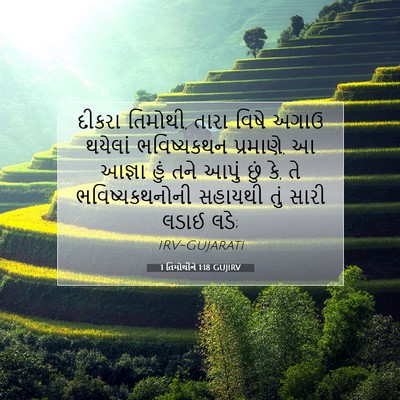 Picture 07 - 1 તિમોથીને 1:18 GUJIRV - દીકરા તિમોથી, તારા - Bible Verse Picture