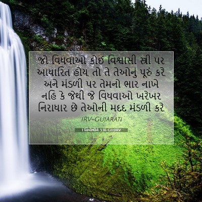 Picture 07 - 1 તિમોથીને 5:16 GUJIRV - જો વિધવાઓ કોઈ - Bible Verse Picture