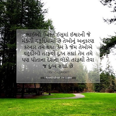 Picture 07 - 1 થેસ્સલોનિકીઓને 2:14 GUJIRV - ભાઈઓ, ખ્રિસ્ત - Bible Verse Picture