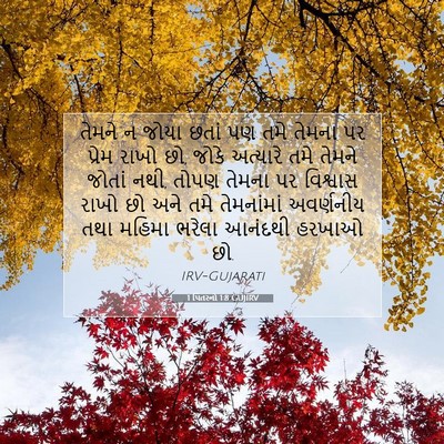 Picture 07 - 1 પિતરનો 1:8 GUJIRV - તેમને ન જોયા છતાં - Bible Verse Picture