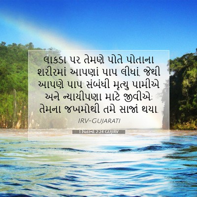 Picture 07 - 1 પિતરનો 2:24 GUJIRV - લાકડા પર તેમણે - Bible Verse Picture