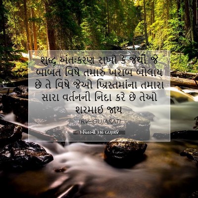Picture 07 - 1 પિતરનો 3:16 GUJIRV - શુદ્ધ અંતઃકરણ - Bible Verse Picture