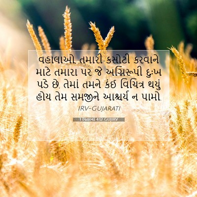 Picture 07 - 1 પિતરનો 4:12 GUJIRV - વહાલાઓ, તમારી - Bible Verse Picture