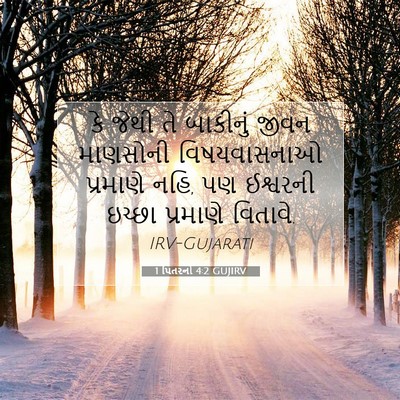 Picture 07 - 1 પિતરનો 4:2 GUJIRV - કે જેથી તે બાકીનું - Bible Verse Picture