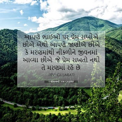 Picture 07 - 1 યોહાનનો 3:14 GUJIRV - આપણે ભાઈઓ પર પ્રેમ - Bible Verse Picture