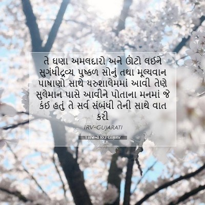 Picture 07 - 1 રાજાઓ 10:2 GUJIRV - તે ઘણા અમલદારો અને - Bible Verse Picture
