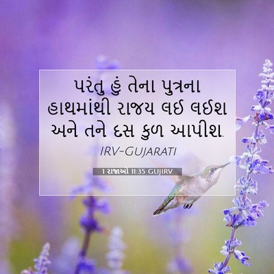 Picture 07 - 1 રાજાઓ 11:35 GUJIRV - પરંતુ હું તેના - Bible Verse Picture