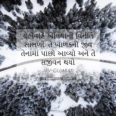 Picture 07 - 1 રાજાઓ 17:22 GUJIRV - યહોવાહે એલિયાની - Bible Verse Picture