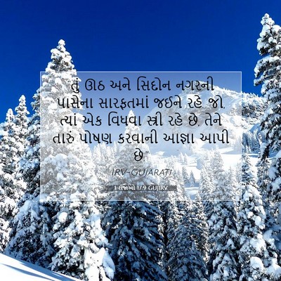 Picture 07 - 1 રાજાઓ 17:9 GUJIRV - “તું ઊઠ અને સિદોન - Bible Verse Picture
