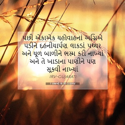 Picture 07 - 1 રાજાઓ 18:38 GUJIRV - પછી એકાએક - Bible Verse Picture