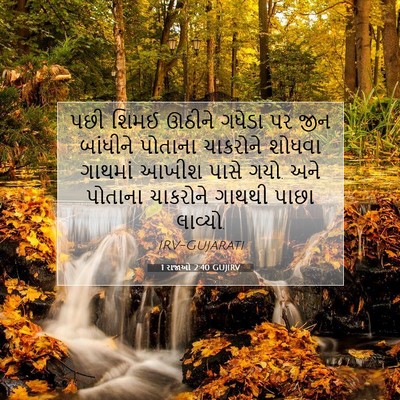 Picture 07 - 1 રાજાઓ 2:40 GUJIRV - પછી શિમઈ ઊઠીને - Bible Verse Picture