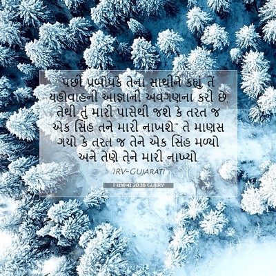 Picture 07 - 1 રાજાઓ 20:36 GUJIRV - પછી પ્રબોધકે તેના - Bible Verse Picture