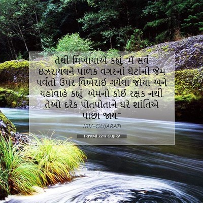 Picture 07 - 1 રાજાઓ 22:17 GUJIRV - તેથી મિખાયાએ - Bible Verse Picture