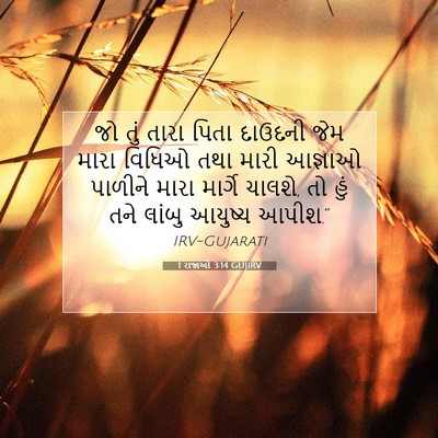 Picture 07 - 1 રાજાઓ 3:14 GUJIRV - જો તું તારા પિતા - Bible Verse Picture