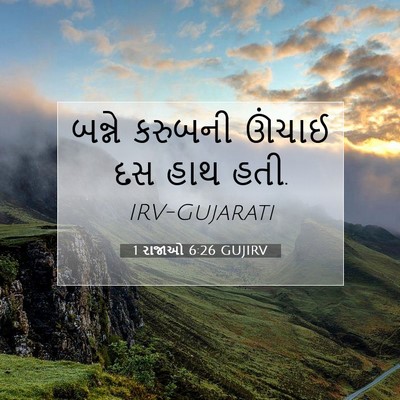 Picture 07 - 1 રાજાઓ 6:26 GUJIRV - બન્ને કરુબની - Bible Verse Picture