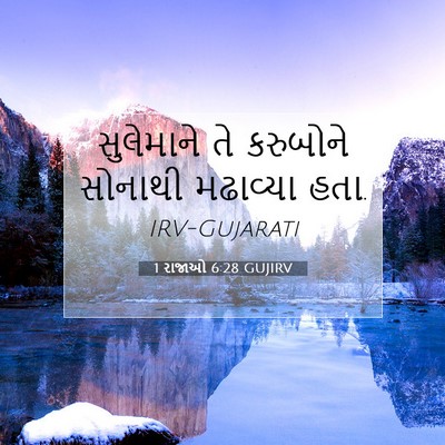 Picture 07 - 1 રાજાઓ 6:28 GUJIRV - સુલેમાને તે - Bible Verse Picture