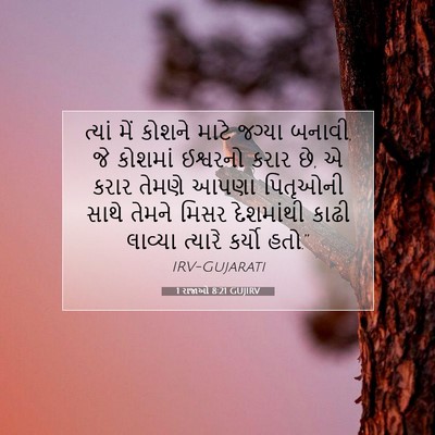 Picture 07 - 1 રાજાઓ 8:21 GUJIRV - ત્યાં મેં કોશને - Bible Verse Picture