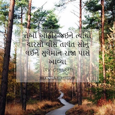 Picture 07 - 1 રાજાઓ 9:28 GUJIRV - તેઓ ઓફીર જઈને - Bible Verse Picture
