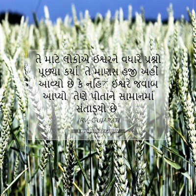 Picture 07 - 1 શમુએલ 10:22 GUJIRV - તે માટે લોકોએ - Bible Verse Picture