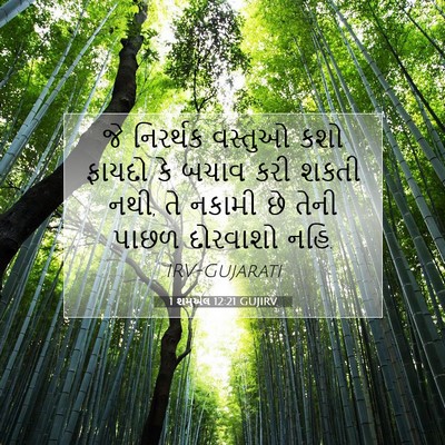 Picture 07 - 1 શમુએલ 12:21 GUJIRV - જે નિરર્થક વસ્તુઓ - Bible Verse Picture